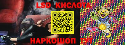 прущие крисы Камышлов