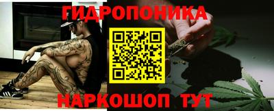 прущие крисы Камышлов