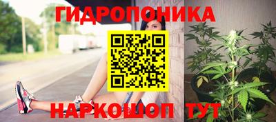 прущие крисы Камышлов