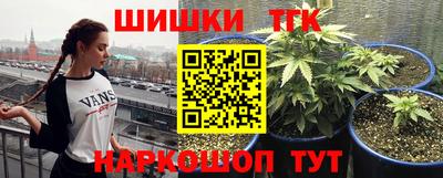 прущие крисы Камышлов