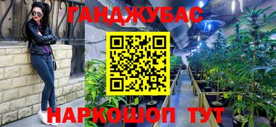 прущие крисы Камышлов